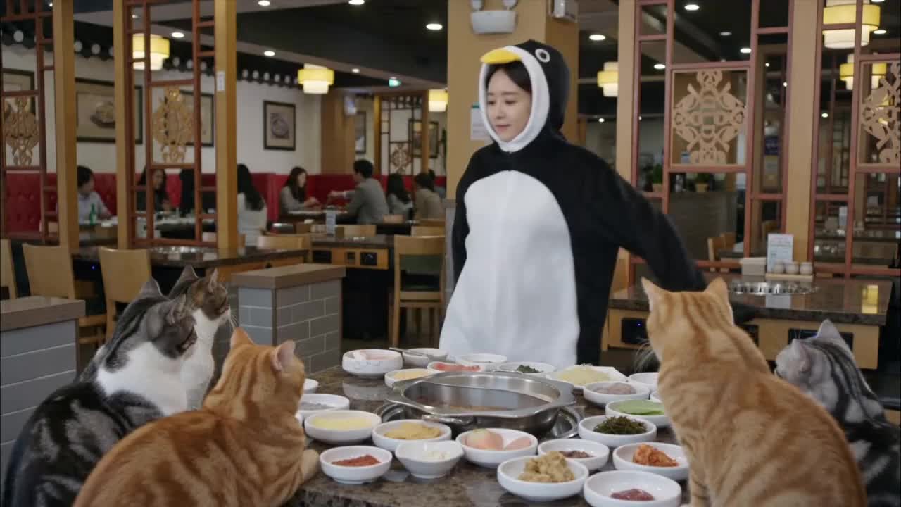 Dancing Penguin Entertains Cats in Restaurant