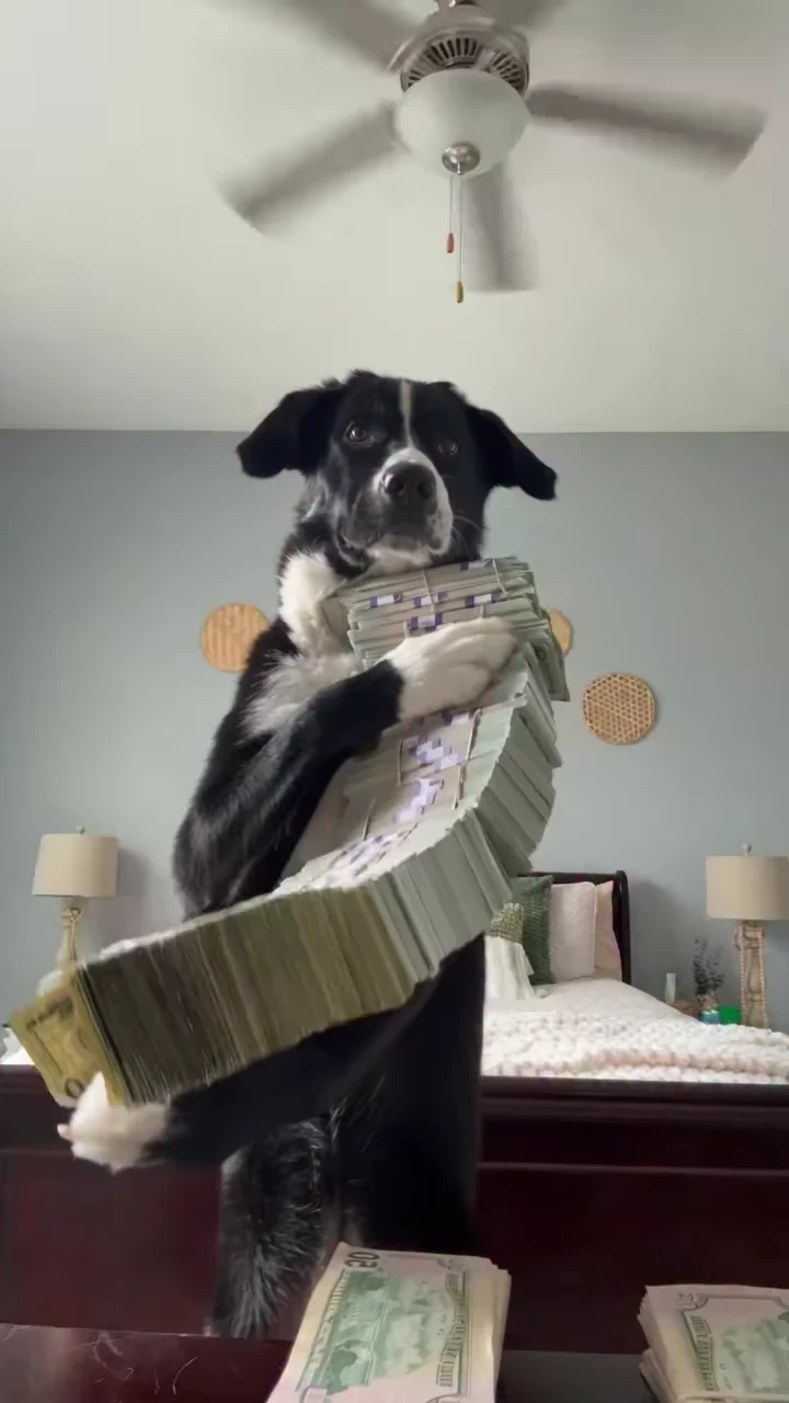 Cash Flex AI Review: Hands, Banknotes and Faces Behind Props