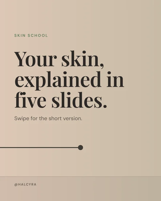 Your skin, explained in five slides.
